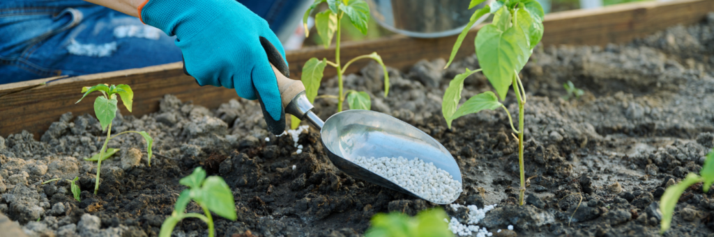 Gardener scooping fresh soil surrounded by vibrant, healthy plants – promoting sustainable landscaping and thriving gardens.